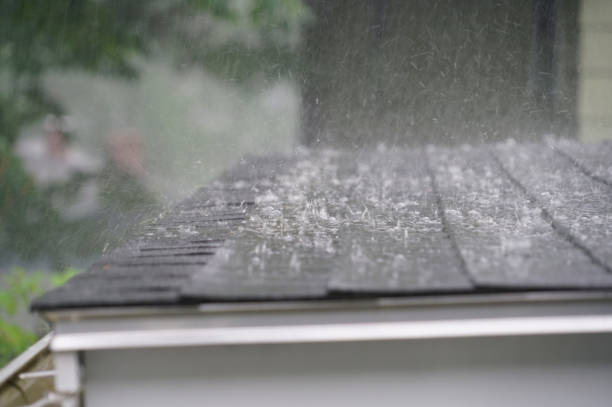 Best Roof Moss and Algae Removal  in Pike Creek, DE