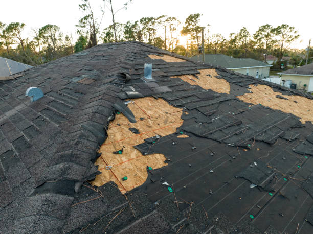 Trusted Pike Creek, DE Roofing Service Experts